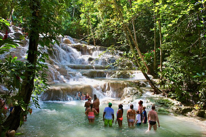 Private Dunn's River Falls Adventure from Montego Bay - Image 1