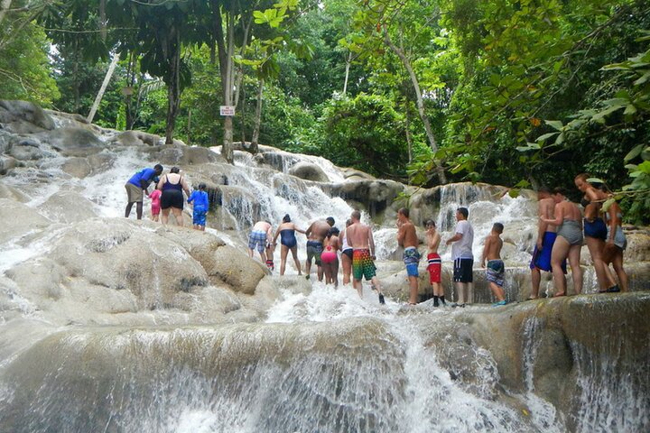 Private Dunn's River Falls Adventure from Montego Bay - Image 3