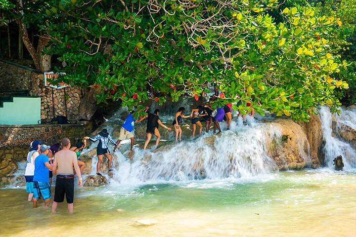 Private Dunn's River Falls Adventure from Montego Bay - Image 4