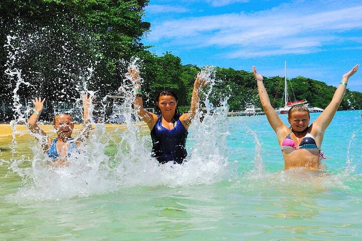 Private Dunn's River Falls Adventure from Montego Bay - Image 5