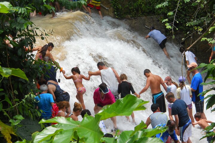 Private Dunn's River Falls Tour in Ocho Rios - Image 5