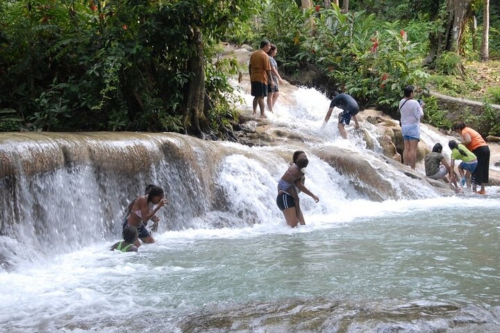 Private Dunn's River Falls Tour in Ocho Rios - Image 3