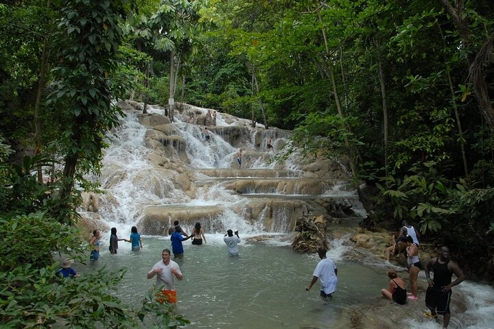 Private Dunn's River Falls Tour in Ocho Rios - Image 1