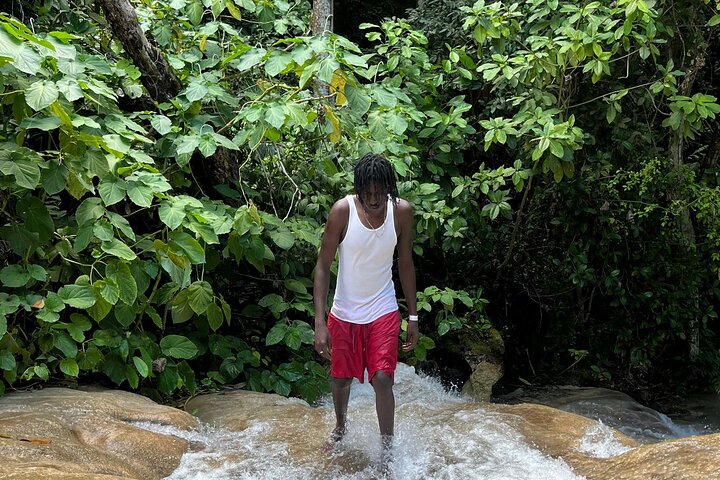 Private Full Day Tour to Jamaica's Best Beach Negril & Ricks Cafe - Image 2