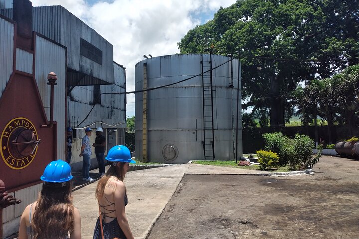 Private Hampden Estate Rum Tour from Montego Bay or Falmouth - Image 3