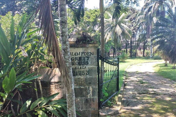 Private Hampden Estate Rum Tour from Montego Bay or Falmouth - Image 5