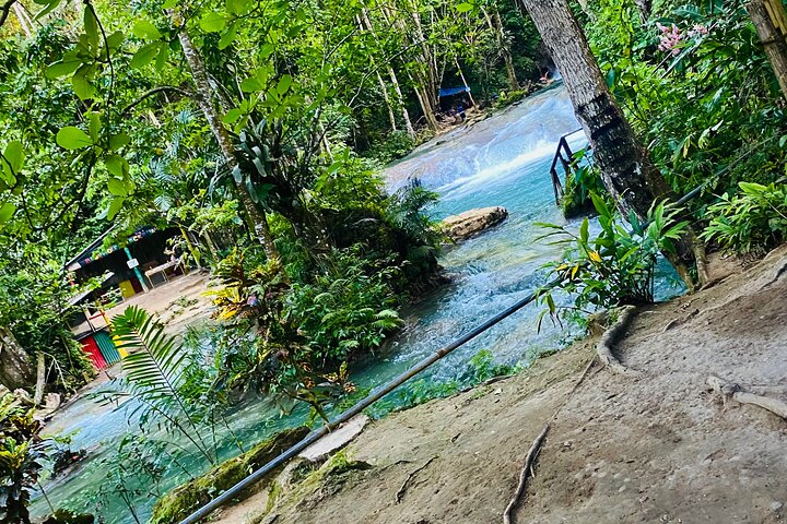  Private Horse Back Riding and Blue hole from Montegobay  - Image 4