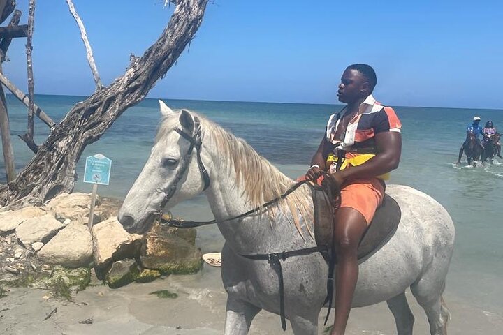  Private Horse Back Riding and Blue hole from Montegobay  - Image 1