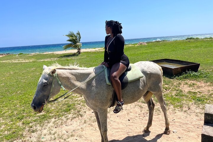 Private Horseback Ride and Swim from Montego Bay - Image 2