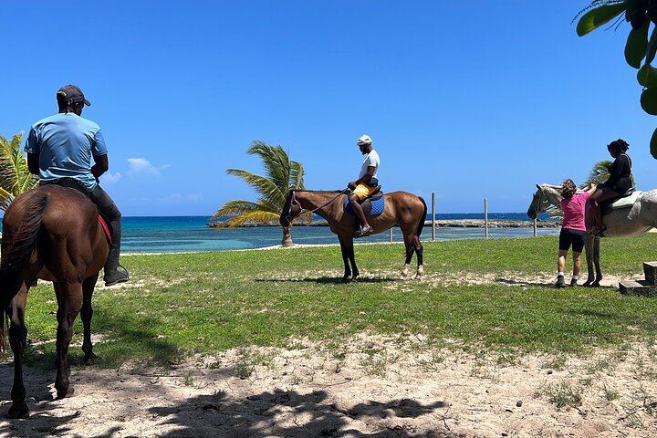 Private Horseback Ride and Swim from Montego Bay - Image 4
