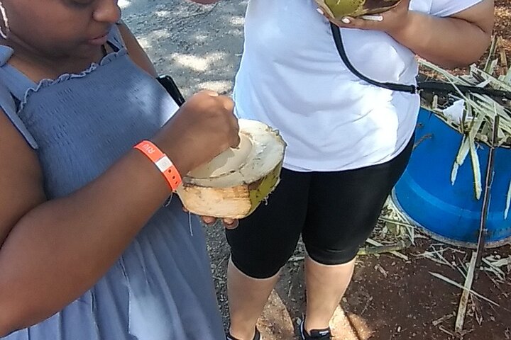 Private Montego Bay Foodie Tour with City Highlights - Image 4