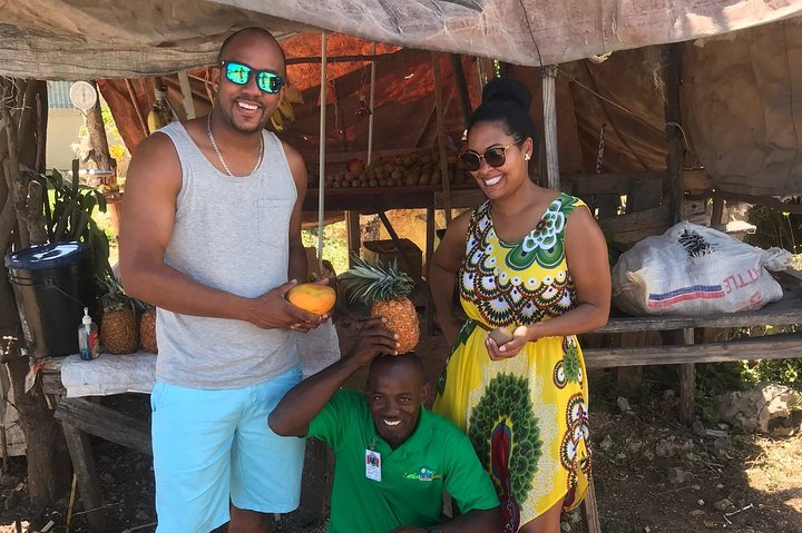 Private Montego Bay highlight City Tour and shopping. - Image 2