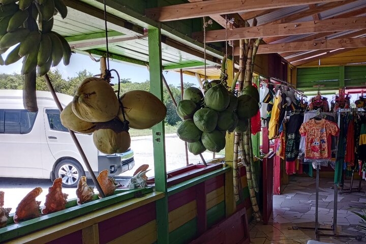 Private Montego Bay Highlights Day Tour - Image 4