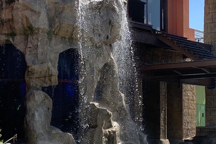 Private Montego Bay Highlights Guided Tour from Falmouth - Image 5