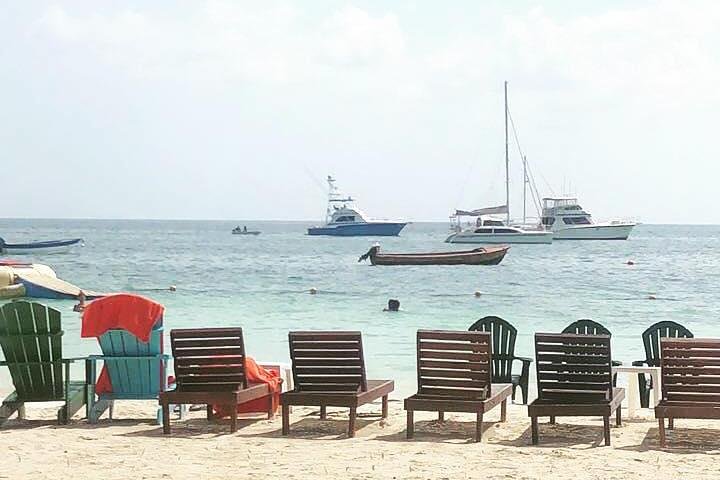 [PRIVATE] Negril Sightseeing Tour with RickS Cafe Cliff Diving - Image 3