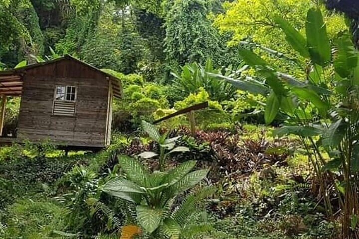 Private RastaSafari 3-Hour Tour in an ATV from Montego Bay - Image 2