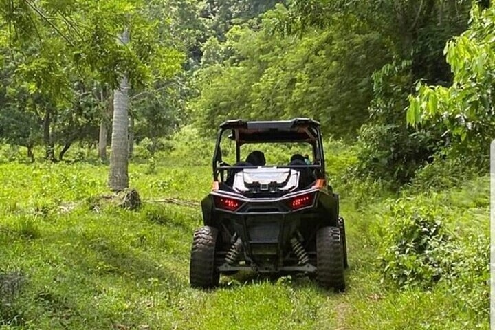 Private RastaSafari 3-Hour Tour in an ATV from Montego Bay - Image 5