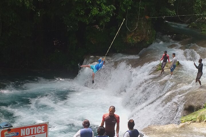 Private Tour from Falmouth to Ocho Rios Blue Hole - Image 4