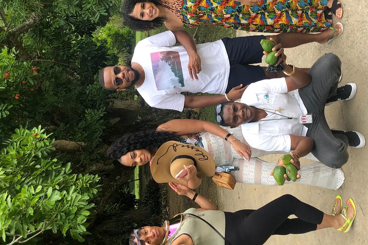 Private Tour from Montego Bay to Dunn’s River Falls & Luminous Lagoon Night Tour - Image 2