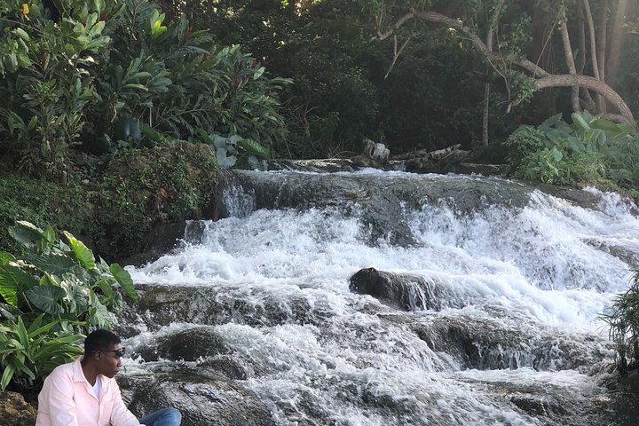 Private Tour from Montego Bay to Dunn’s River Falls & Luminous Lagoon Night Tour - Image 5