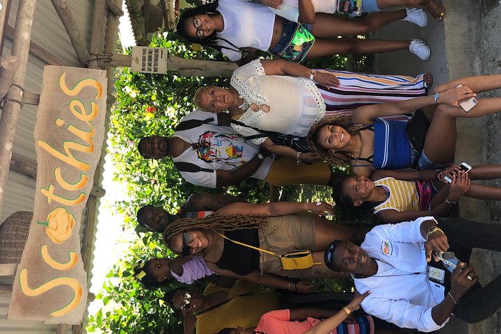 Private Tour from Montego Bay to Dunn’s River Falls & Luminous Lagoon Night Tour - Image 1