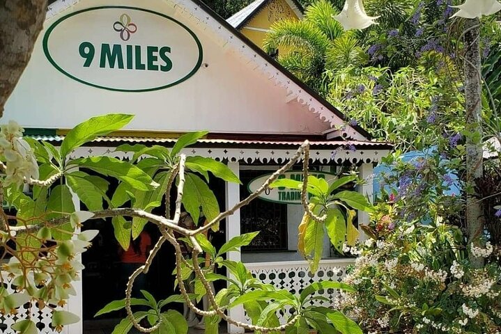 Private Tour of Bob Marley Nine Miles from Montego Bay  - Image 2