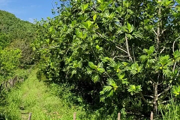 Private Tour of Childermas Estate: A Female-Owned Working Farm - Image 5