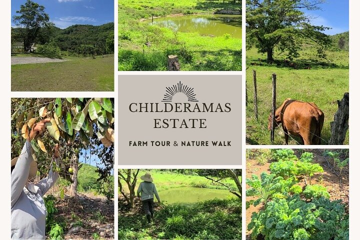 Private Tour of Childermas Estate: A Female-Owned Working Farm - Image 1