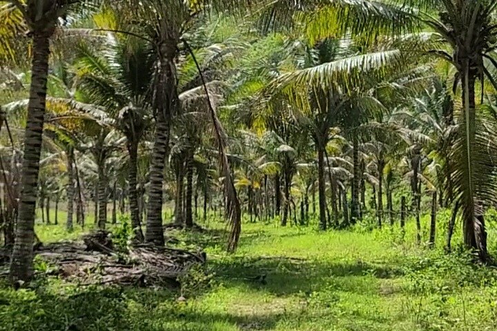 Private Tour of Childermas Estate: A Female-Owned Working Farm - Image 2