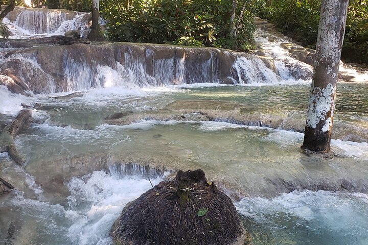 Private Tour of Dunns River Falls from Montego Bay Resorts - Image 4