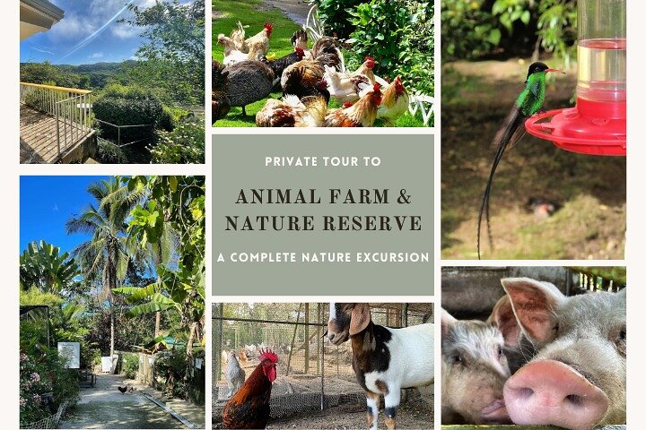 Private Tour to Animal Farm & Nature Reserve  - Image 1
