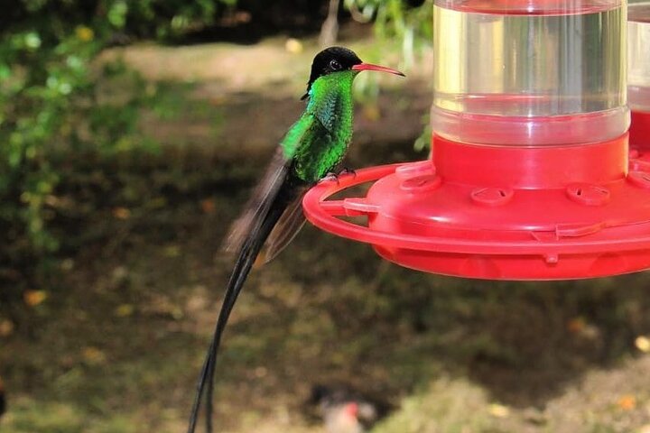 Private Tour to Animal Farm & Nature Reserve  - Image 5