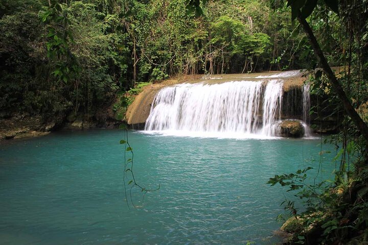 Private Tour to Appleton Estate and YS Falls from Montego Bay - Image 3