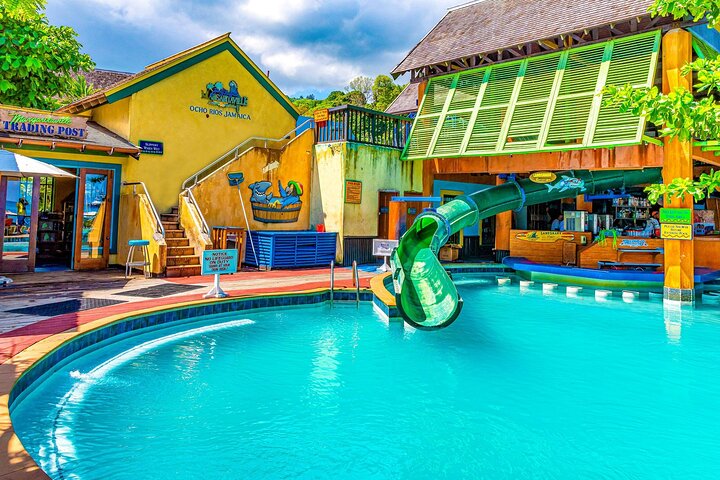 Private Tour to Dunn's River Falls and Margaritaville - Image 3