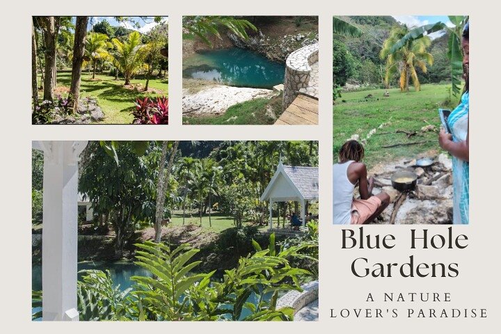Private Tour to Rural Jamaica to Hike, Swim, Harvest Fruits & Eat - Image 1