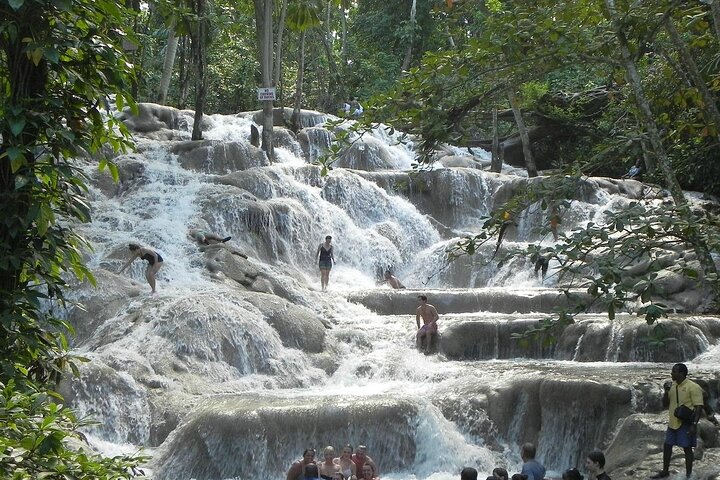 Private Transfer to Dunn's River Falls and Blue Hole - Image 5