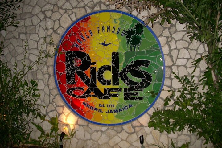 Private Trip to Blue Hole Mineral Springs, Negril & Ricks Café  - Image 5