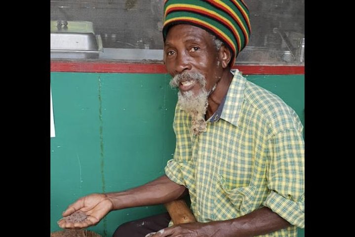 Rastafari Indigenous Village Tour  - Image 4
