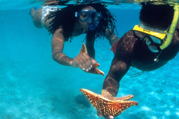 Reggae Rafting Experience with Power Snorkel Party Cruise - Image 2