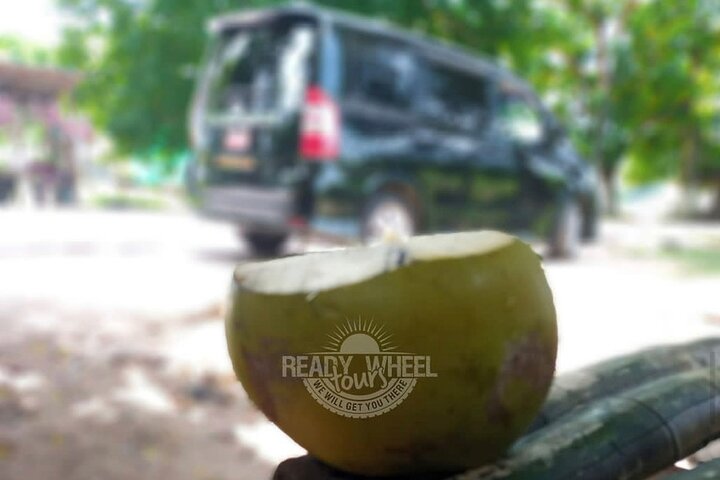 Ricks Cafe, Shopping & 7 Mile Beach- Day Trip to Negril  - Image 2