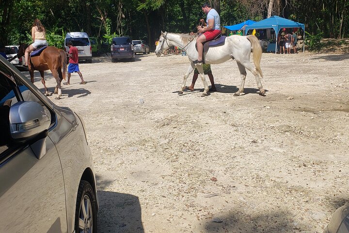 River Tubing & Horseback 'Ride N Swim' Adventure from Montego Bay - Image 4