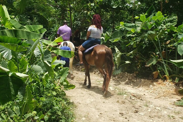 River Tubing & Horseback 'Ride N Swim' Adventure from Montego Bay - Image 2