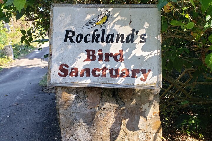 Rockland Bird Sanctuary Private Guided Tour From Montego Bay - Image 4