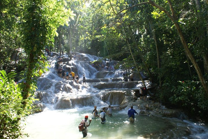 Round-Trip Shuttle Transportation to Dunn's River Falls from Montego Bay - Image 3