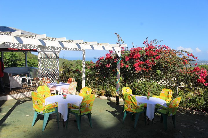Skip the Line: Ahhh Ras Natango Gallery and Garden Admission Tickets - Image 3