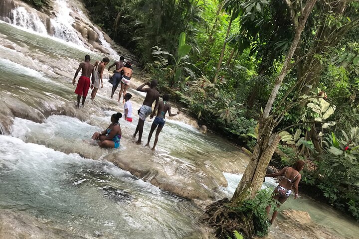 SMALL GROUP TOUR to Dunn's River Falls from Montego Bay - Image 4