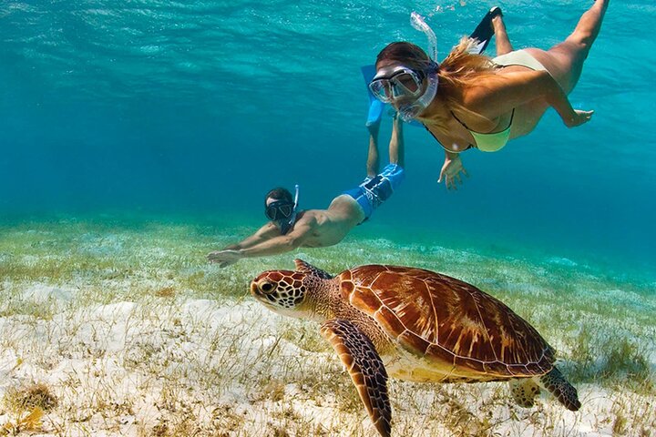 Snorkeling Activity with Boat Ride in Montego Bay  - Image 4