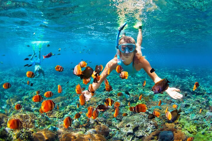 Snorkeling Activity with Boat Ride in Montego Bay  - Image 1