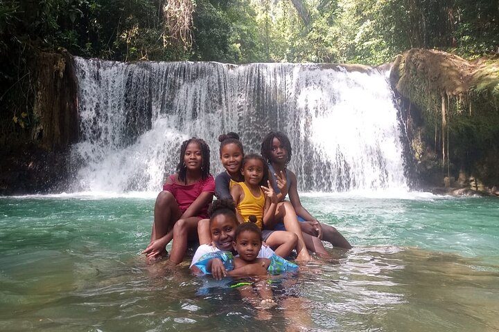 South Coast Tour to YS Falls, Black River Safari and Appleton Rum - Image 1