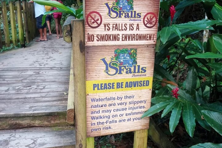 South Coast Tour to YS Falls, Black River Safari and Appleton Rum - Image 4